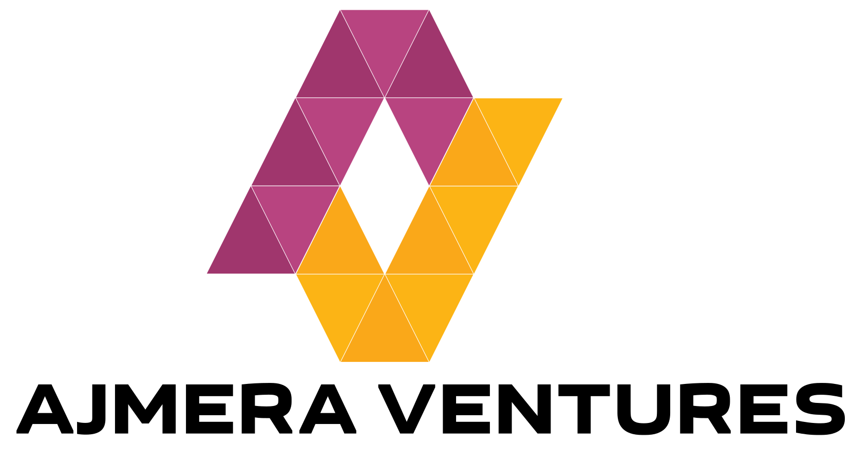 AV Logo_2 (1)